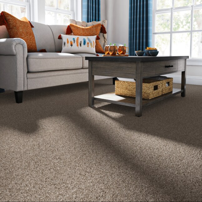 STAINMASTER 7L89700109 Carpet-Panel - View #2