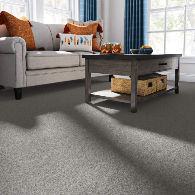 STAINMASTER PetProtect 7L88200101 Carpet-Panel - View #2
