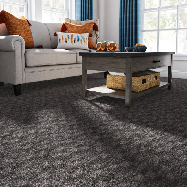 STAINMASTER LU740-9513F Carpet-Samples - View #2