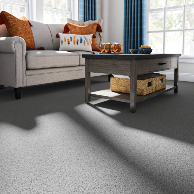 STAINMASTER STP58-12-L002 Carpet-Panel - View #2