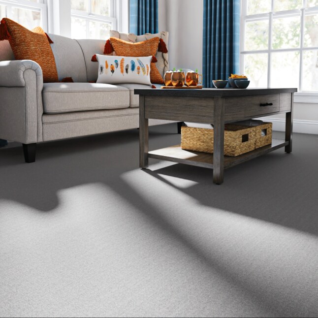 STAINMASTER 7L888 - 500 - SAMP Carpet-Samples - View #2