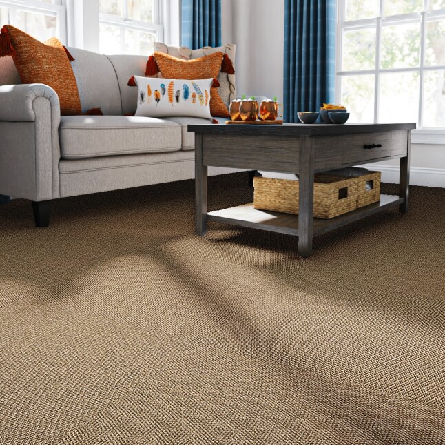 Style Selections 7HDMN2915PK Carpet-Tile - View #2