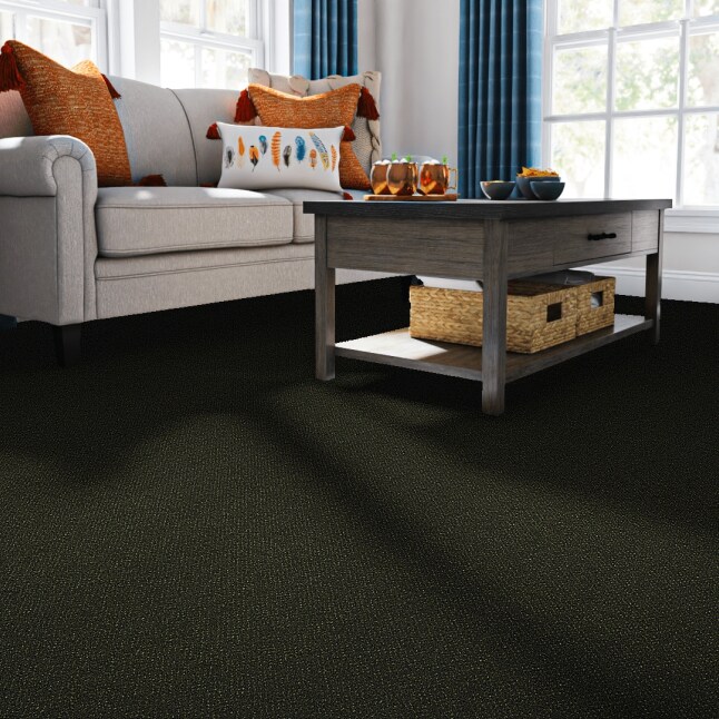  LC38-12-L002 Carpet-Panel - View #2