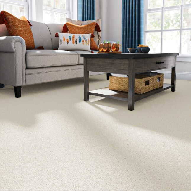 STAINMASTER 7L793-100-SAMP Carpet-Samples - View #2