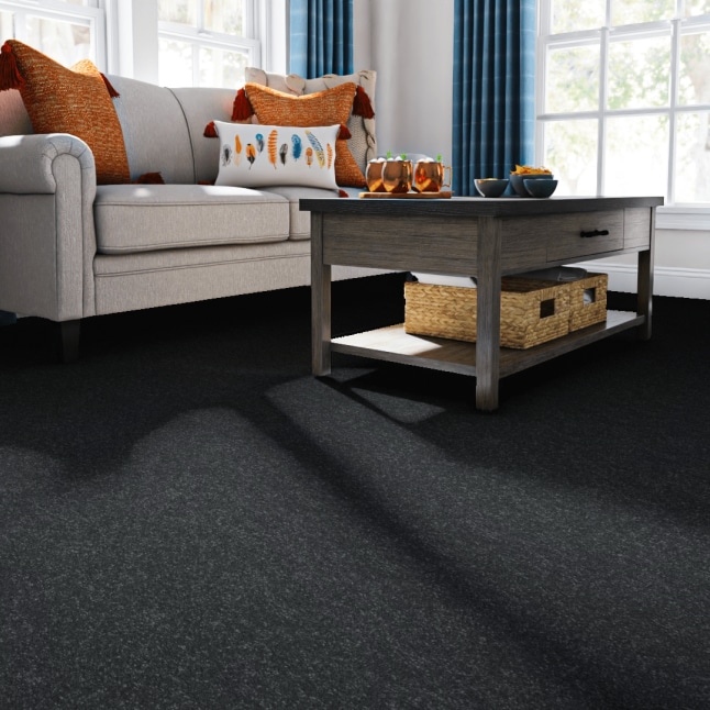 STAINMASTER 7L86500502 Carpet-Panel - View #2