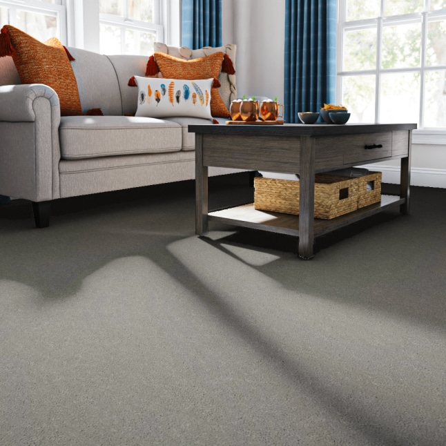 STAINMASTER 7L764-106-SAMP Carpet-Samples - View #2