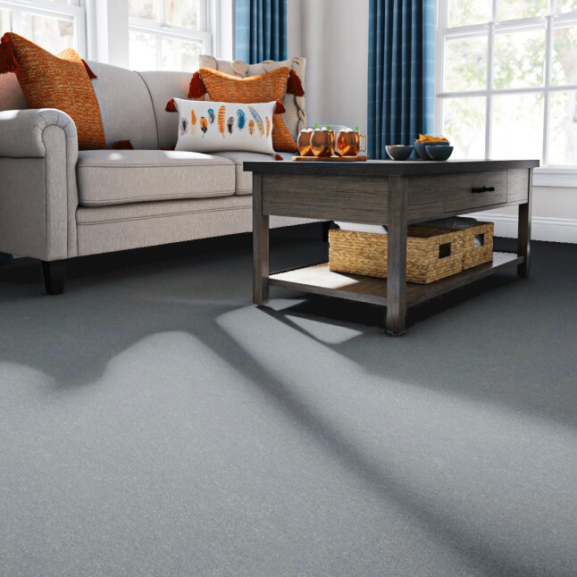 STAINMASTER 7L86500453 Carpet-Panel - View #2