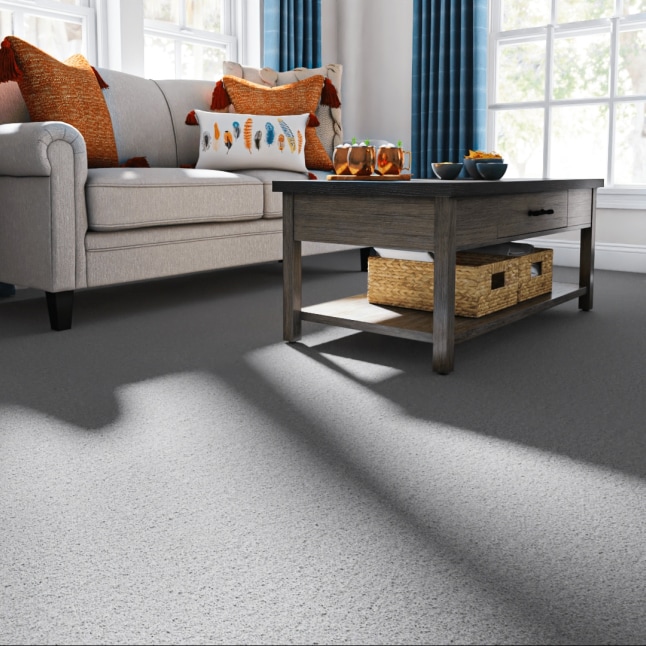 STAINMASTER 7L886 - 500 - SAMP Carpet-Samples - View #2