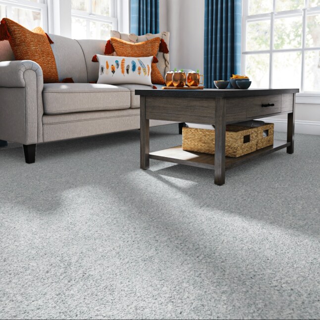 STAINMASTER STP67-12-L006 Carpet-Panel - View #2