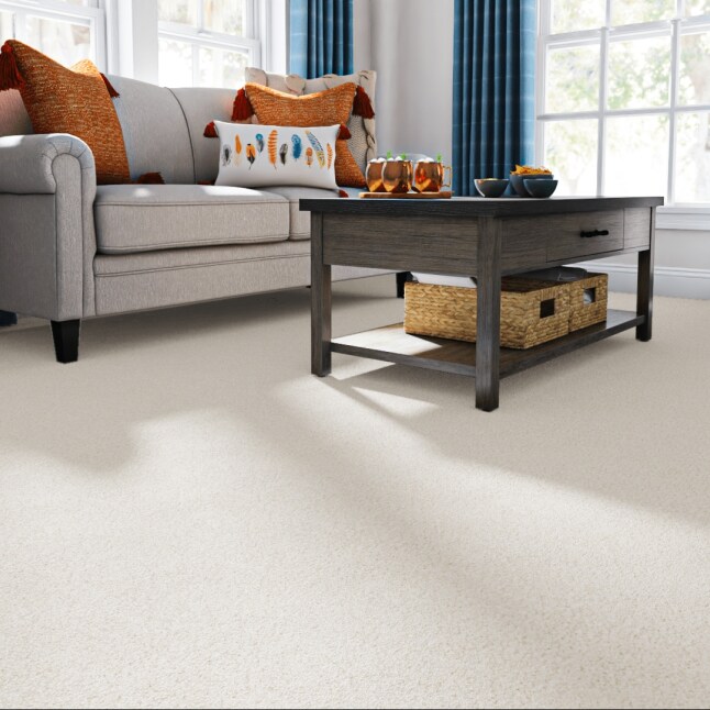 STAINMASTER STP67-L005-0808 Carpet-Samples - View #2
