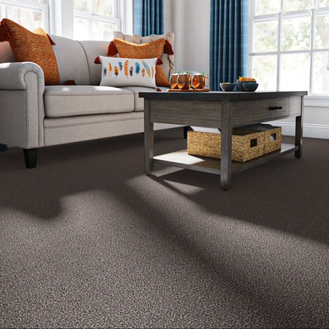 STAINMASTER S7259-112-1200-AB Carpet-Panel - View #2