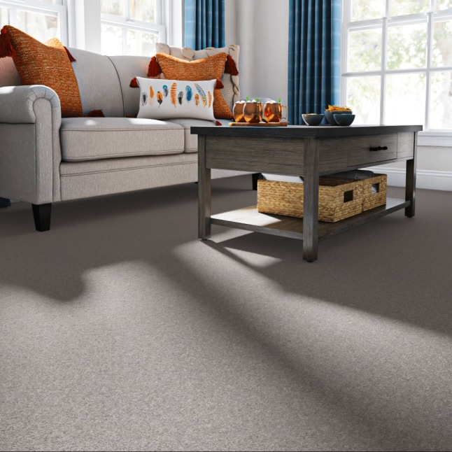 Style Selections 7L84700501 Carpet-Panel - View #2