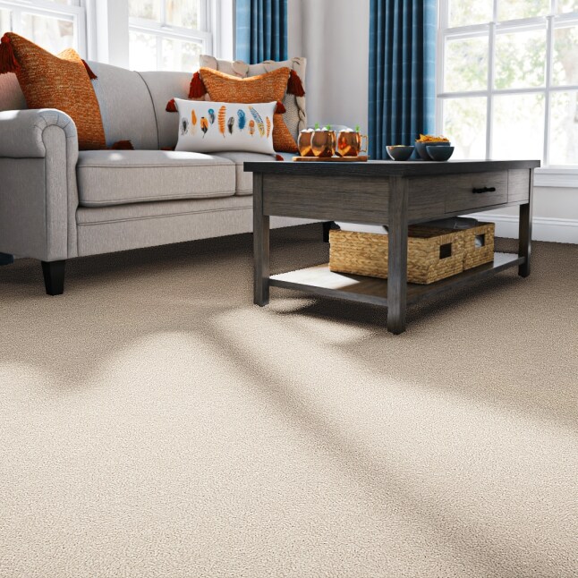 STAINMASTER PetProtect 7L88300106 Carpet-Panel - View #2