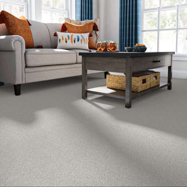 STAINMASTER PetProtect 7L893 - 550 - SAMP Carpet-Samples - View #2