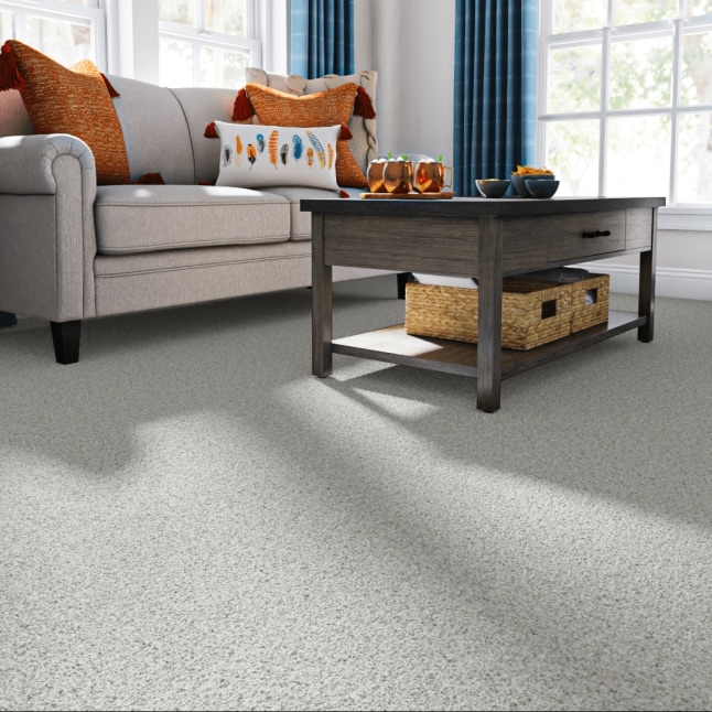 STAINMASTER PetProtect 7L87900534 Carpet-Panel - View #2