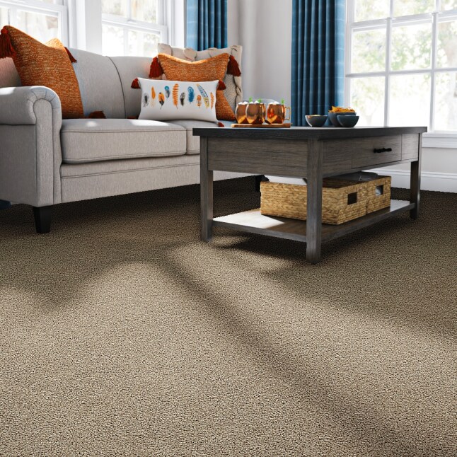 STAINMASTER S9165-874-S Carpet-Samples - View #2
