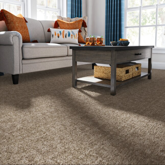 STAINMASTER LU760-9513D Carpet-Samples - View #2