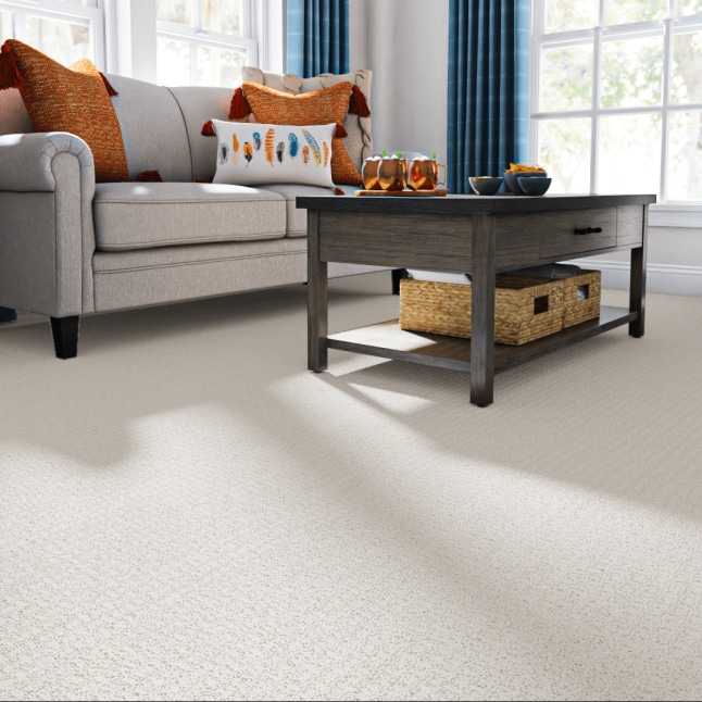 STAINMASTER 7L903 - 576 - SAMP Carpet-Samples - View #2