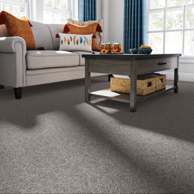 STAINMASTER 7L868 - 508 - SAMP Carpet-Samples - View #2