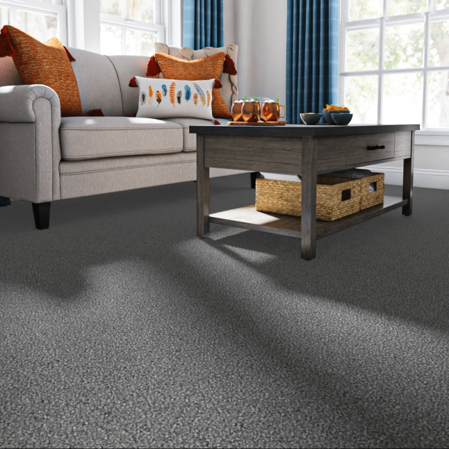 STAINMASTER LU483-W4018-1200-AB Carpet-Panel - View #2