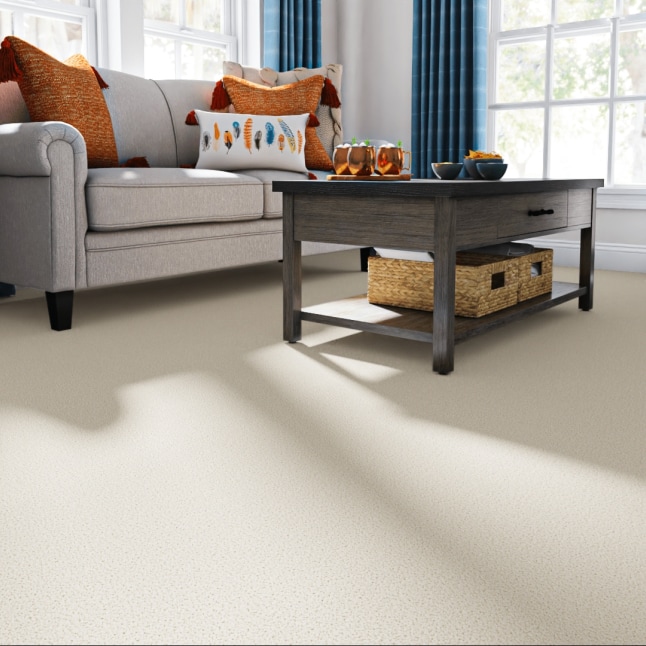 STAINMASTER PetProtect STP56-12-L011 Carpet-Panel - View #2