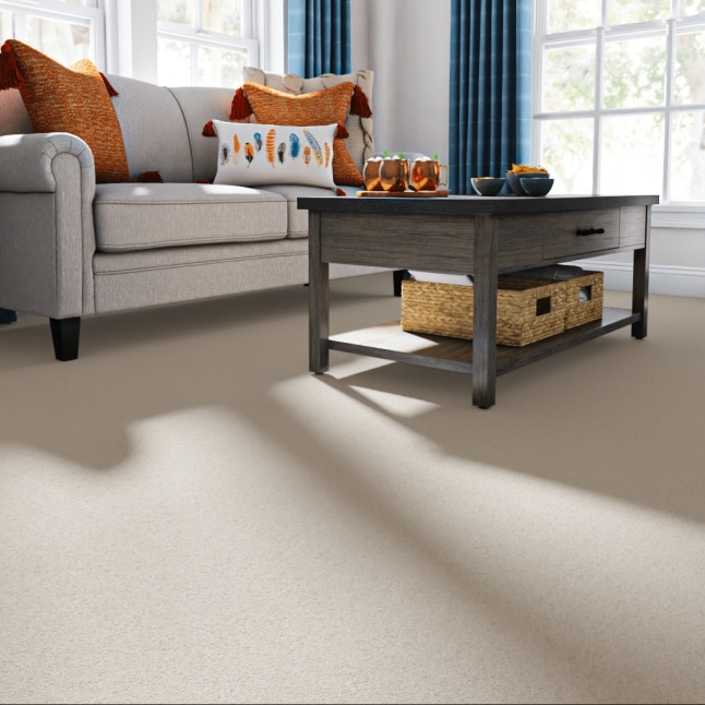 Style Selections 7L84600100 Carpet-Panel - View #2