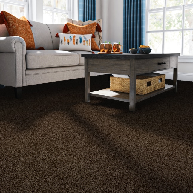 STAINMASTER STP36-12-L015 Carpet-Panel - View #2