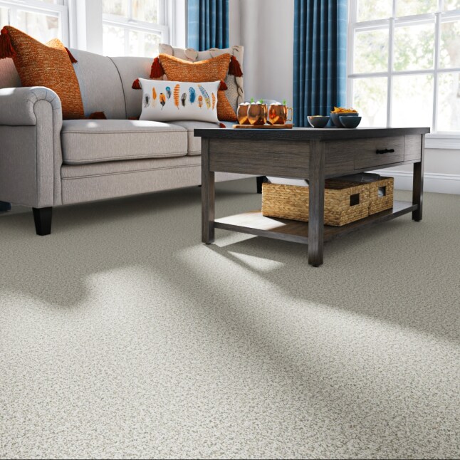 STAINMASTER PetProtect STP47-L008-0808 Carpet-Samples - View #2