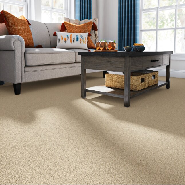 STAINMASTER PetProtect STP56-12-L017 Carpet-Panel - View #2