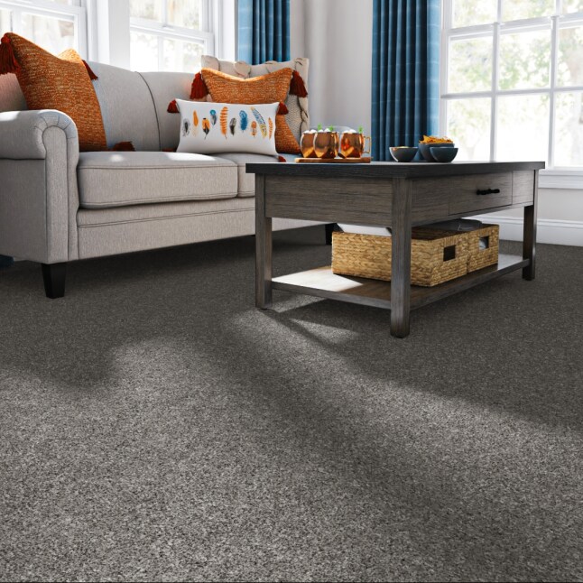 STAINMASTER 7L87000505 Carpet-Panel - View #2