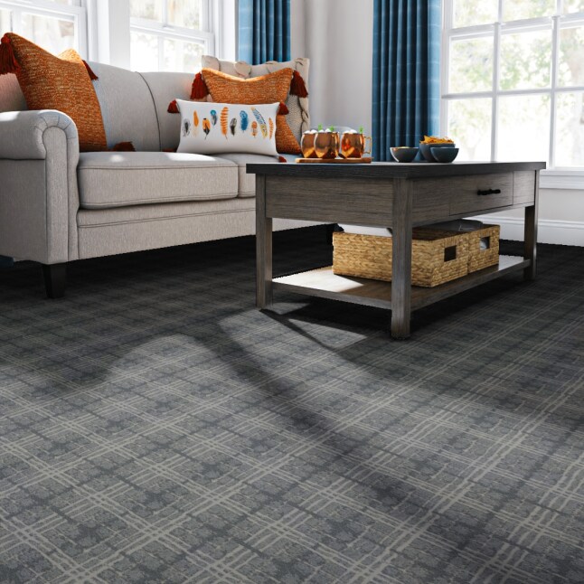 STAINMASTER PetProtect S9248-561-S Carpet-Samples - View #2