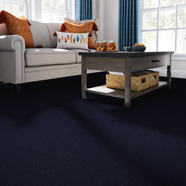 STAINMASTER PetProtect 7L88200404 Carpet-Panel - View #2