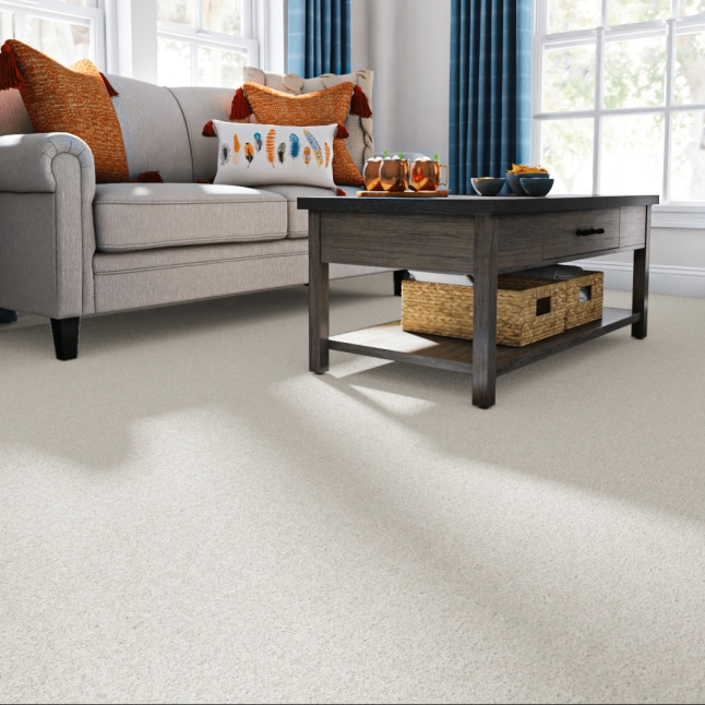 STAINMASTER STP65-12-L002 Carpet-Panel - View #2