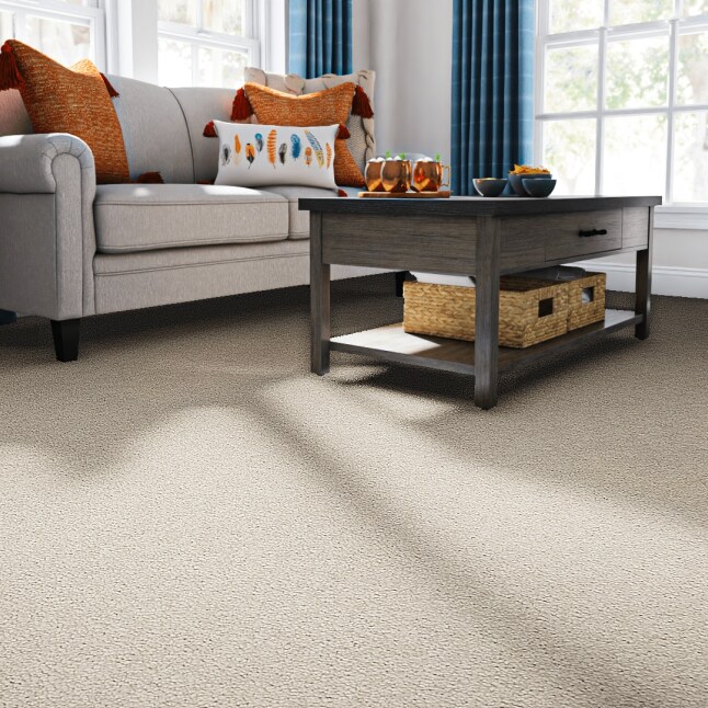 STAINMASTER PetProtect STP42-12-L003 Carpet-Panel - View #2