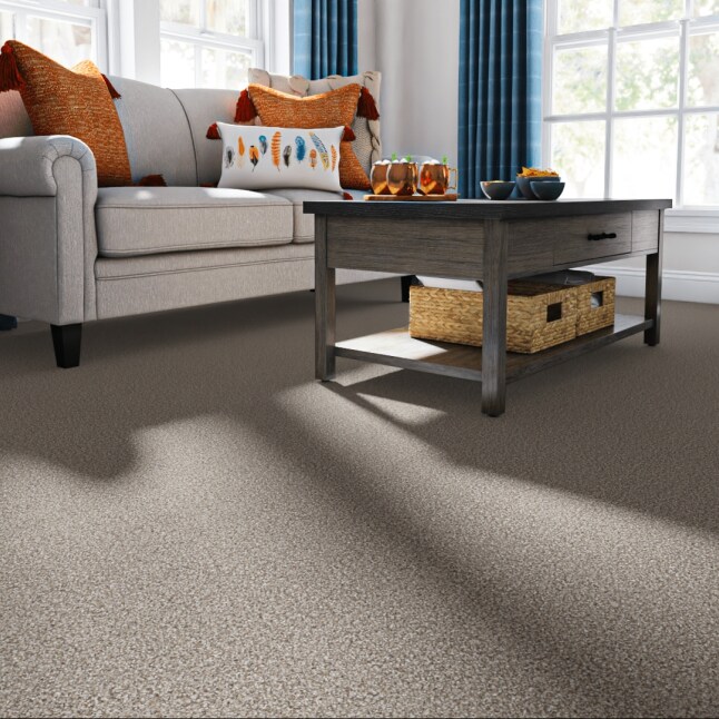 STAINMASTER LU483-9513C Carpet-Samples - View #2