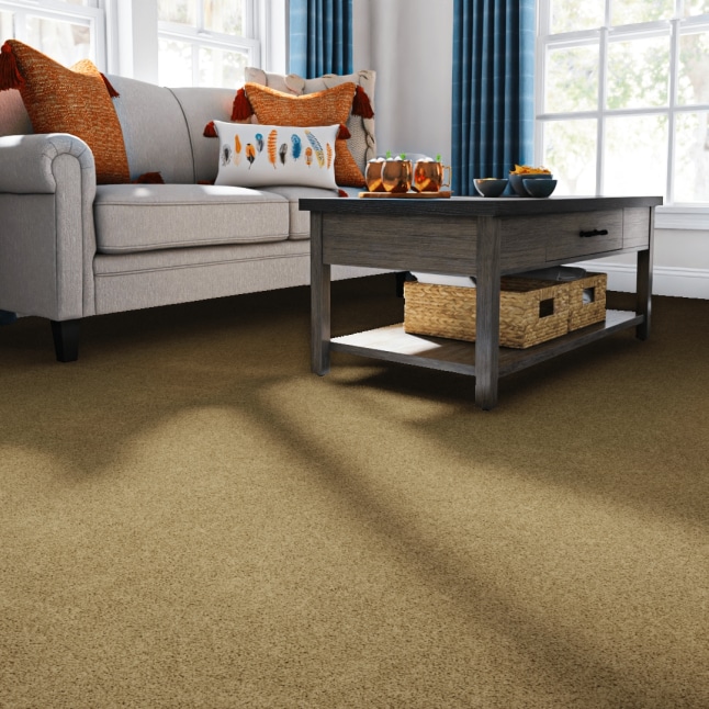 STAINMASTER FB049-306-1200-AB Carpet-Panel - View #2
