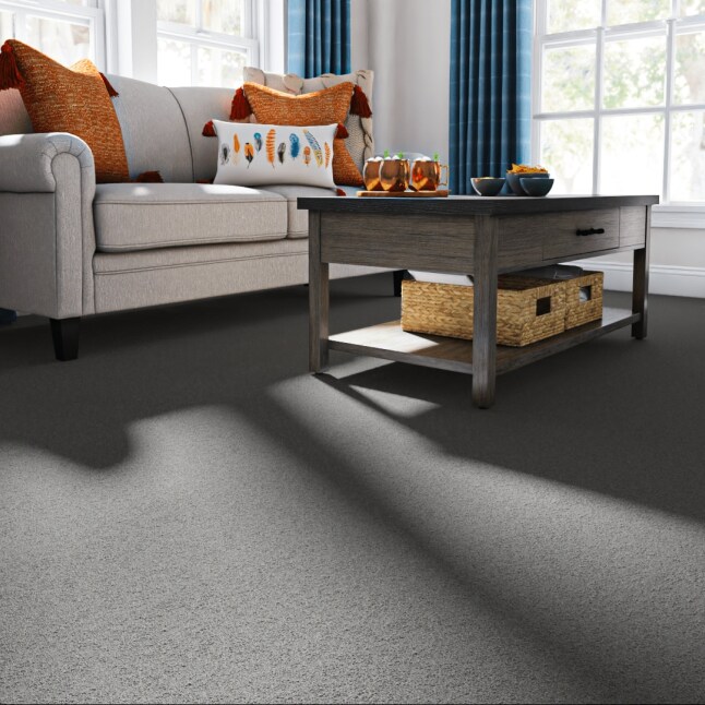 STAINMASTER PetProtect 7L92900538 Carpet-Panel - View #2