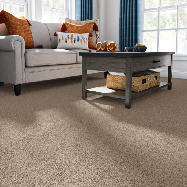 STAINMASTER PetProtect 7L860 - 765 - SAMP Carpet-Samples - View #2