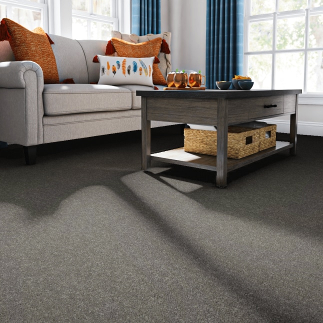 STAINMASTER 7L764-700-SAMP Carpet-Samples - View #2