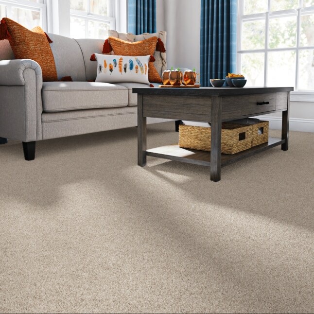 STAINMASTER STP22-12-L004 Carpet-Panel - View #2