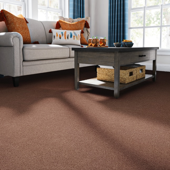 STAINMASTER 7L791-620-SAMP Carpet-Samples - View #2