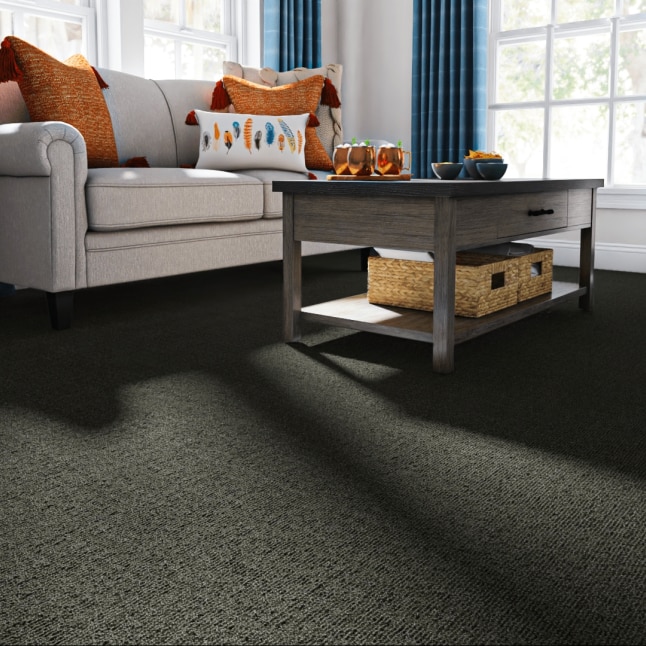 Foss 7RD4N170144L Carpet-Panel - View #2