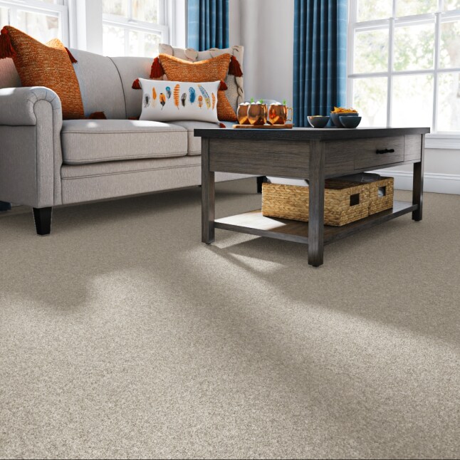 STAINMASTER STP65-12-L008 Carpet-Panel - View #2