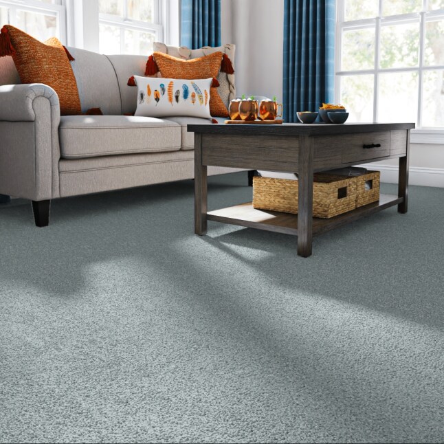 STAINMASTER 7L86700403 Carpet-Panel - View #2