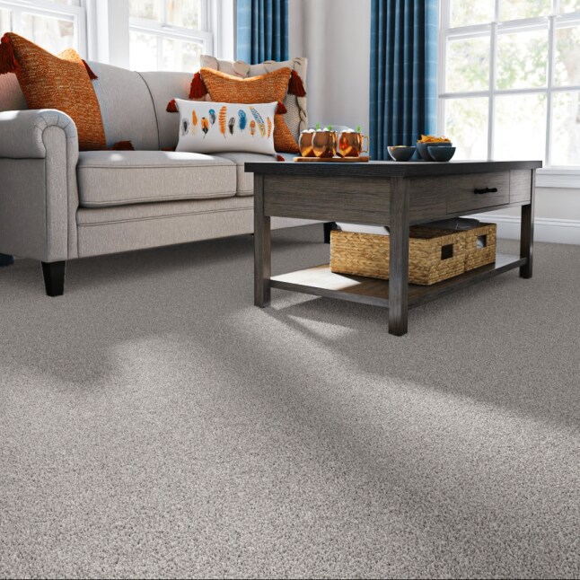 STAINMASTER 7L895 - 508 - SAMP Carpet-Samples - View #2
