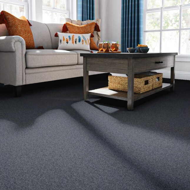 STAINMASTER PetProtect 7L90600437 Carpet-Panel - View #2