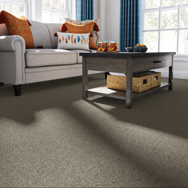 STAINMASTER 7L87100502 Carpet-Panel - View #2