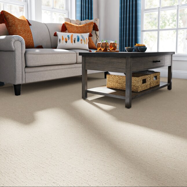 STAINMASTER PetProtect 7L902 - 114 - SAMP Carpet-Samples - View #2