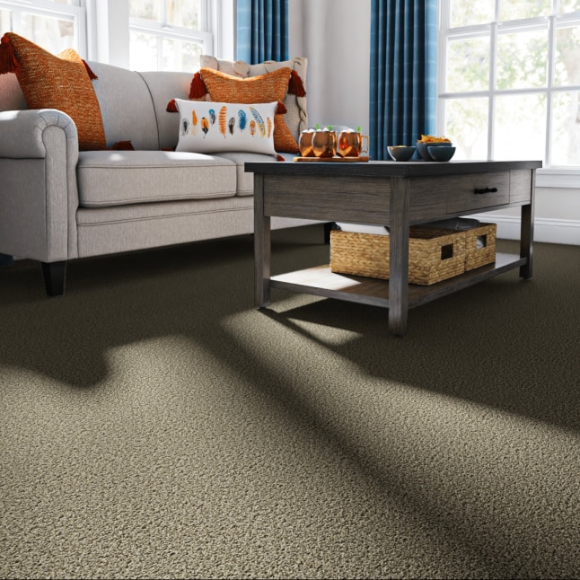 STAINMASTER STP61-L012-0808 Carpet-Samples - View #2