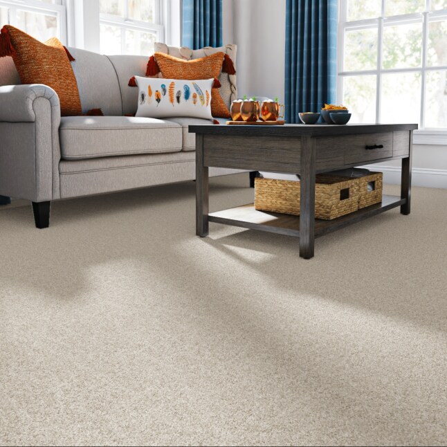 STAINMASTER 7L867 - 109 - SAMP Carpet-Samples - View #2